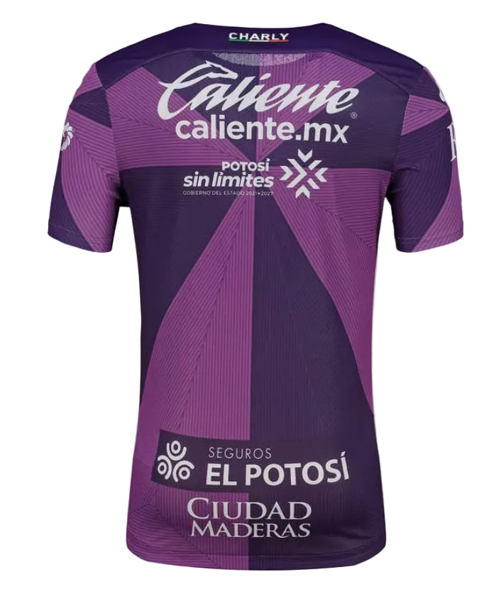 JERSEY PORTERO MORADO CABALLERO
