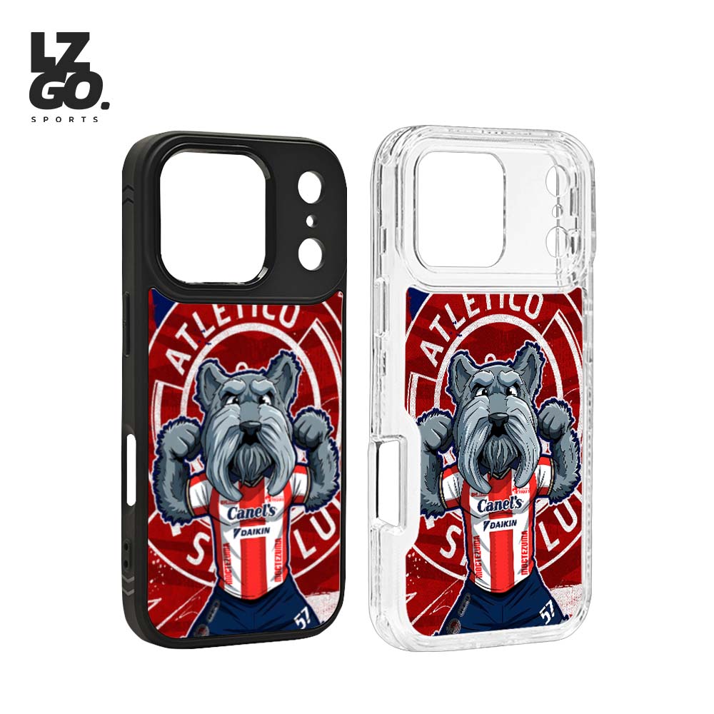 CASE ESCUDO ADSL LUCHO